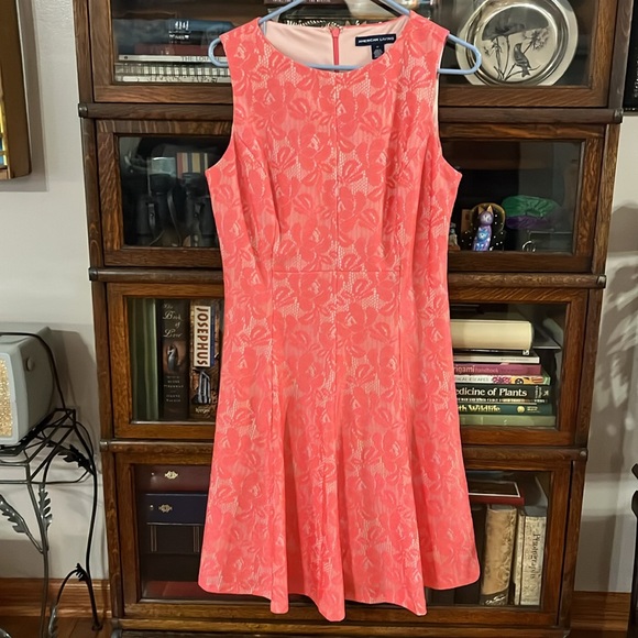 American Living Pink Lace Fit & Flare Dress - Picture 4 of 16